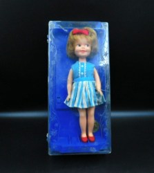 penny brite blue case